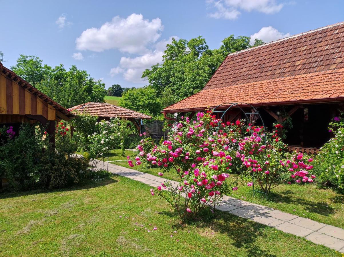 Pod Orehom Drvena Kuca I Sauna Krapina Extérieur photo