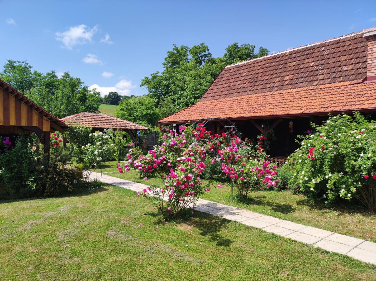 Pod Orehom Drvena Kuca I Sauna Krapina Extérieur photo