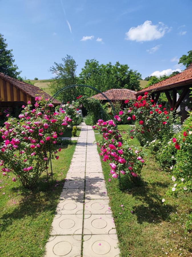 Pod Orehom Drvena Kuca I Sauna Krapina Extérieur photo